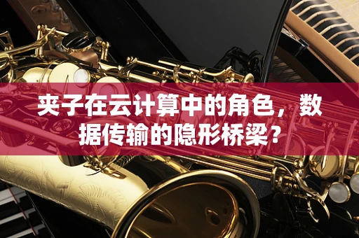夹子在云计算中的角色，数据传输的隐形桥梁？