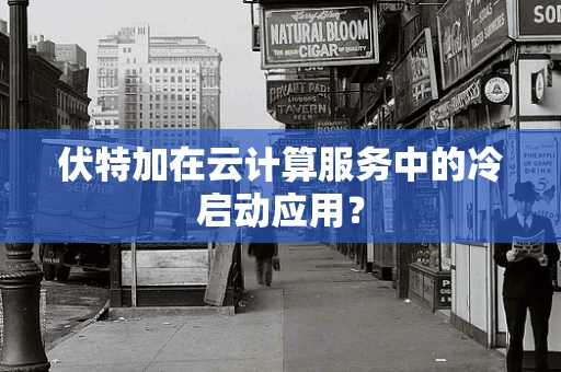 伏特加在云计算服务中的冷启动应用？