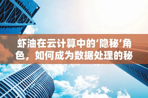 虾油在云计算中的‘隐秘’角色，如何成为数据处理的秘密武器？