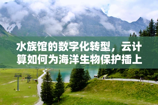水族馆的数字化转型，云计算如何为海洋生物保护插上翅膀？