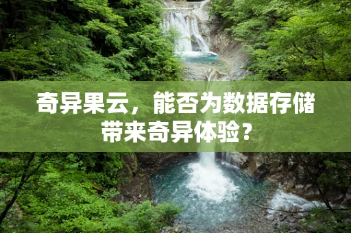 奇异果云，能否为数据存储带来奇异体验？