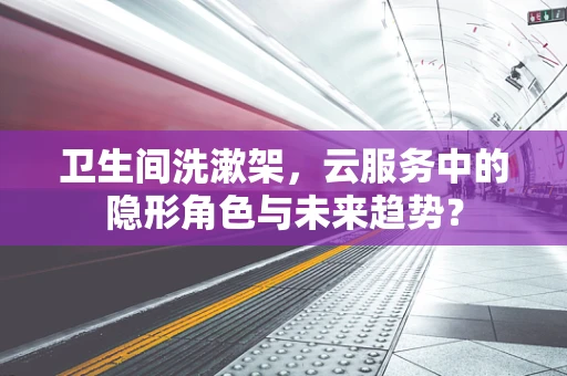 卫生间洗漱架，云服务中的隐形角色与未来趋势？