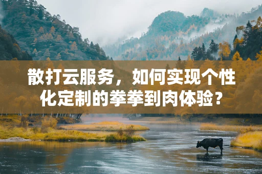 散打云服务，如何实现个性化定制的拳拳到肉体验？