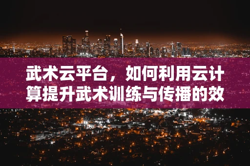 武术云平台，如何利用云计算提升武术训练与传播的效率？