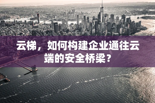 云梯，如何构建企业通往云端的安全桥梁？