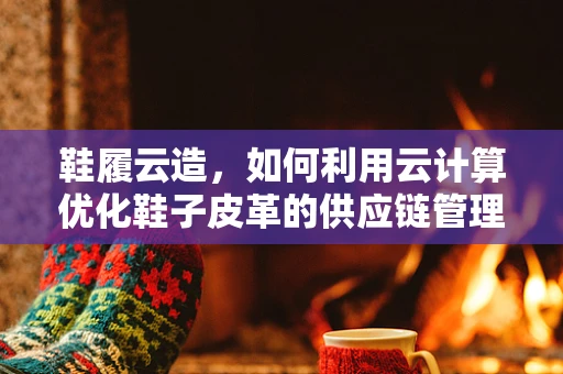 鞋履云造，如何利用云计算优化鞋子皮革的供应链管理？