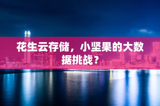 花生云存储，小坚果的大数据挑战？