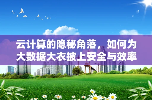 云计算的隐秘角落，如何为大数据大衣披上安全与效率的双重外衣？