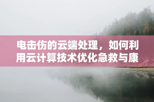 电击伤的云端处理，如何利用云计算技术优化急救与康复管理？