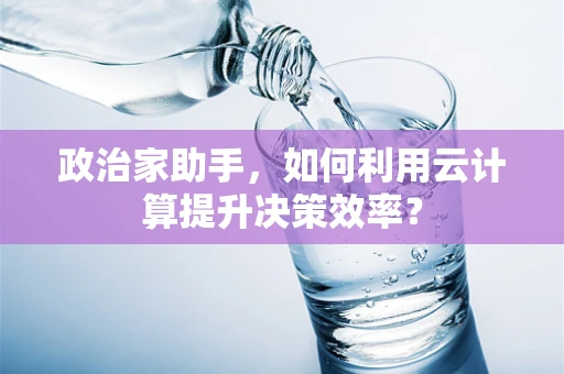 政治家助手，如何利用云计算提升决策效率？