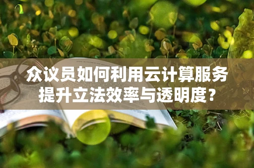 众议员如何利用云计算服务提升立法效率与透明度？