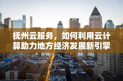 抚州云服务，如何利用云计算助力地方经济发展新引擎？