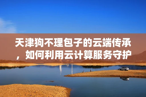 天津狗不理包子的云端传承，如何利用云计算服务守护传统美食的数字化记忆？