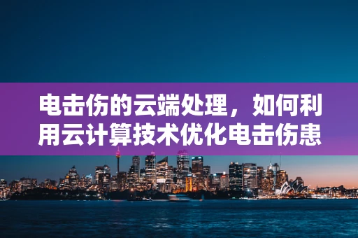 电击伤的云端处理，如何利用云计算技术优化电击伤患者救治流程？