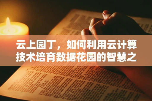 云上园丁，如何利用云计算技术培育数据花园的智慧之花？