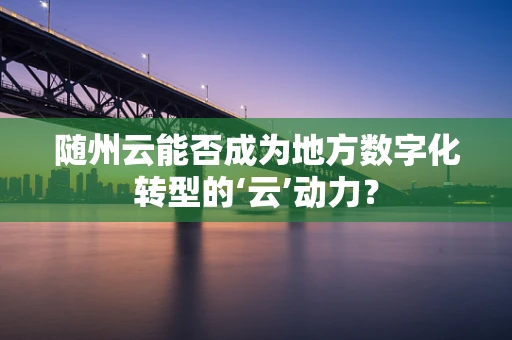 随州云能否成为地方数字化转型的‘云’动力？