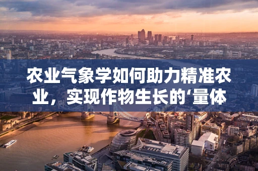 农业气象学如何助力精准农业，实现作物生长的‘量体裁衣’？