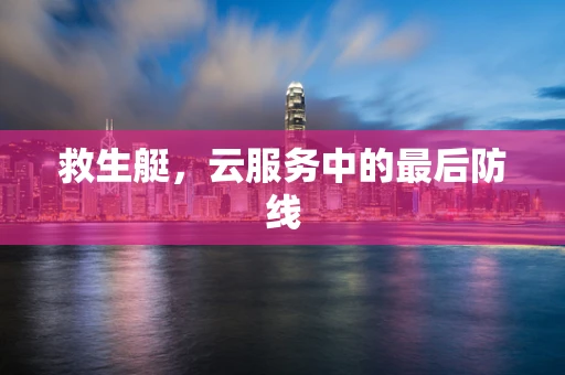 救生艇，云服务中的最后防线