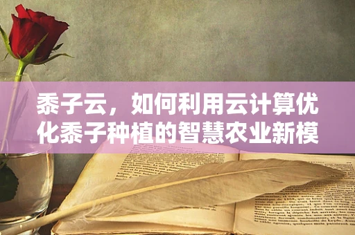 黍子云，如何利用云计算优化黍子种植的智慧农业新模式？