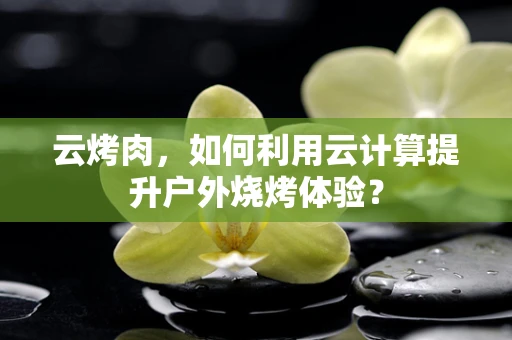 云烤肉，如何利用云计算提升户外烧烤体验？