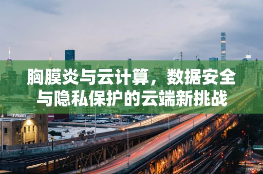 胸膜炎与云计算，数据安全与隐私保护的云端新挑战