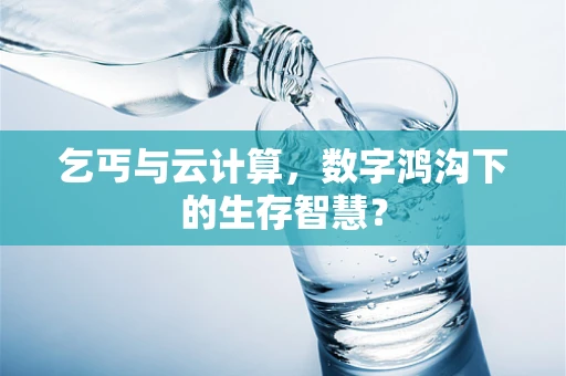乞丐与云计算，数字鸿沟下的生存智慧？