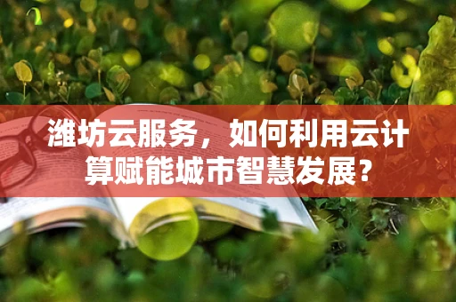 潍坊云服务，如何利用云计算赋能城市智慧发展？