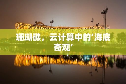 珊瑚礁，云计算中的‘海底奇观’