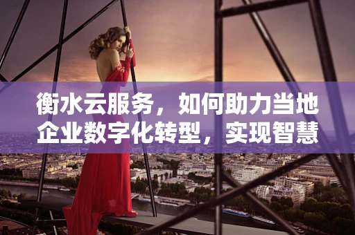 衡水云服务，如何助力当地企业数字化转型，实现智慧城市新飞跃？