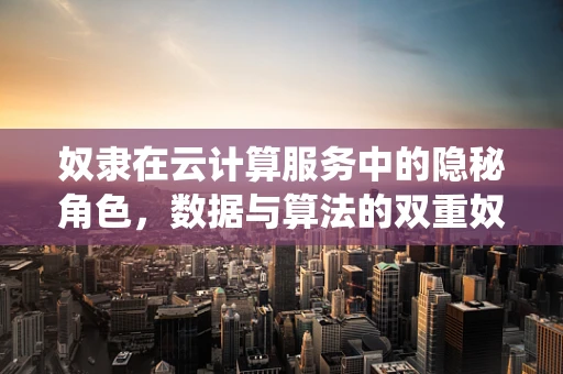 奴隶在云计算服务中的隐秘角色，数据与算法的双重奴役