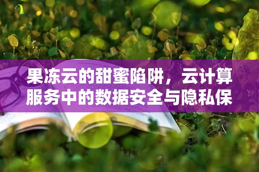 果冻云的甜蜜陷阱，云计算服务中的数据安全与隐私保护