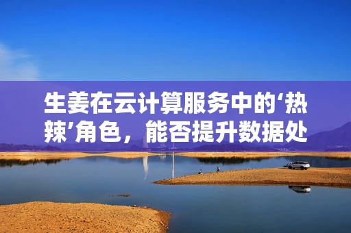 生姜在云计算服务中的‘热辣’角色，能否提升数据处理效率？