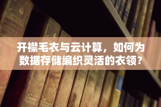 开襟毛衣与云计算，如何为数据存储编织灵活的衣领？