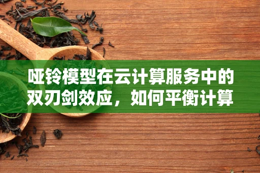 哑铃模型在云计算服务中的双刃剑效应，如何平衡计算与存储的优化？