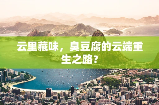 云里藏味，臭豆腐的云端重生之路？