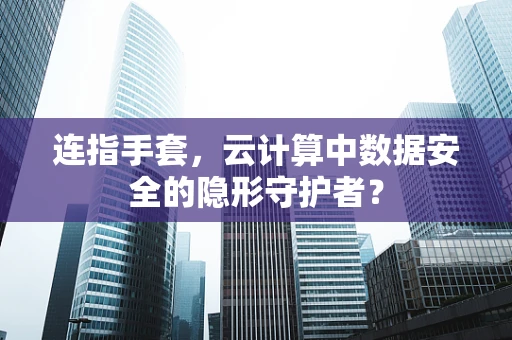 连指手套，云计算中数据安全的隐形守护者？