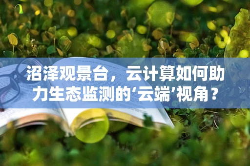 沼泽观景台，云计算如何助力生态监测的‘云端’视角？