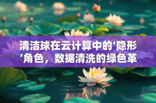清洁球在云计算中的‘隐形’角色，数据清洗的绿色革命