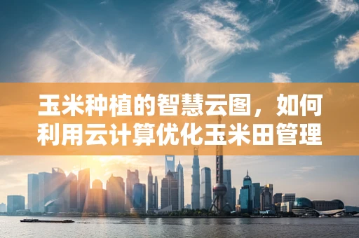 玉米种植的智慧云图，如何利用云计算优化玉米田管理？