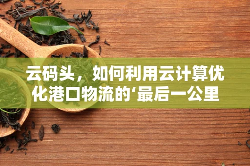 云码头，如何利用云计算优化港口物流的‘最后一公里’？