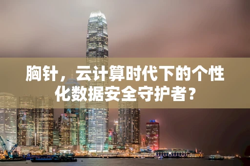 胸针，云计算时代下的个性化数据安全守护者？