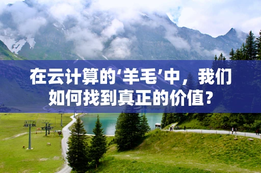 在云计算的‘羊毛’中，我们如何找到真正的价值？