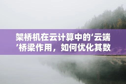 架桥机在云计算中的‘云端’桥梁作用，如何优化其数据传输效率？