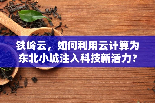 铁岭云，如何利用云计算为东北小城注入科技新活力？