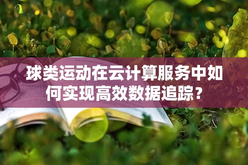球类运动在云计算服务中如何实现高效数据追踪？