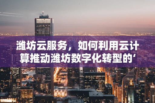 潍坊云服务，如何利用云计算推动潍坊数字化转型的‘云’策略？