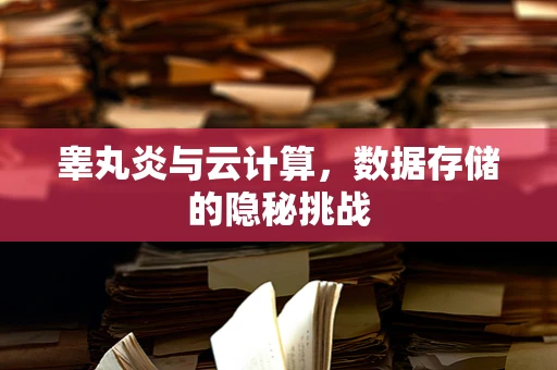 睾丸炎与云计算，数据存储的隐秘挑战