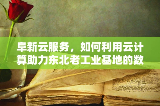 阜新云服务，如何利用云计算助力东北老工业基地的数字化转型？
