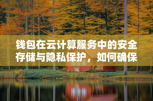 钱包在云计算服务中的安全存储与隐私保护，如何确保数字资产无忧？