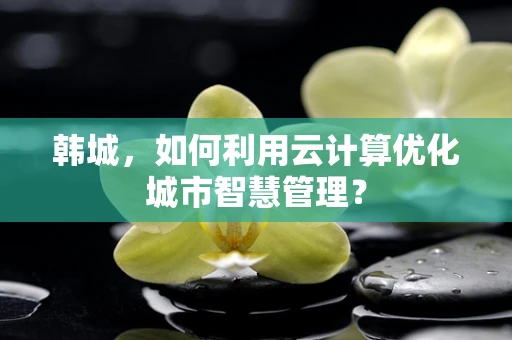 韩城，如何利用云计算优化城市智慧管理？